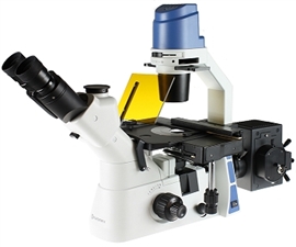 Mikroskop odwrócony Oxion Inverso ze stolikiem mechanicznym, fluorescencja, jasne pole