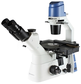 Mikroskop odwrócony Oxion Inverso ze stolikiem mechanicznym, jasne pole